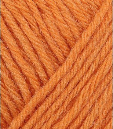 Regia Unicolor