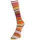Eclectic Sock