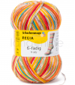 Regia 6-ply Color