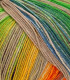 Paint Sock