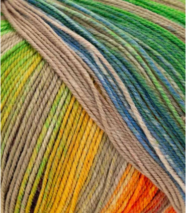 Paint Sock