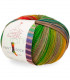 Paint Sock