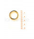Openable Ring - Gold