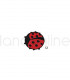 Applicazione Termoadesiva - Coccinella