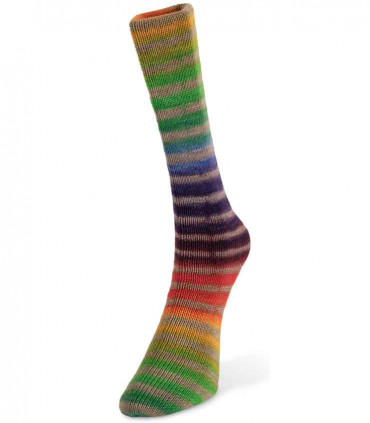 Paint Sock